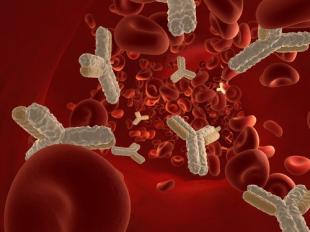 TESTES DE ANTICORPOS PARA COVID-19