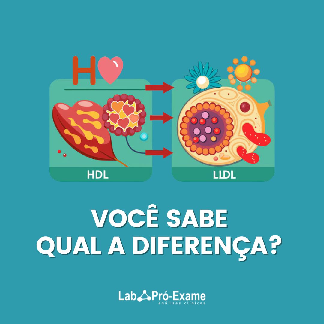 Colesterol HDL e LDL