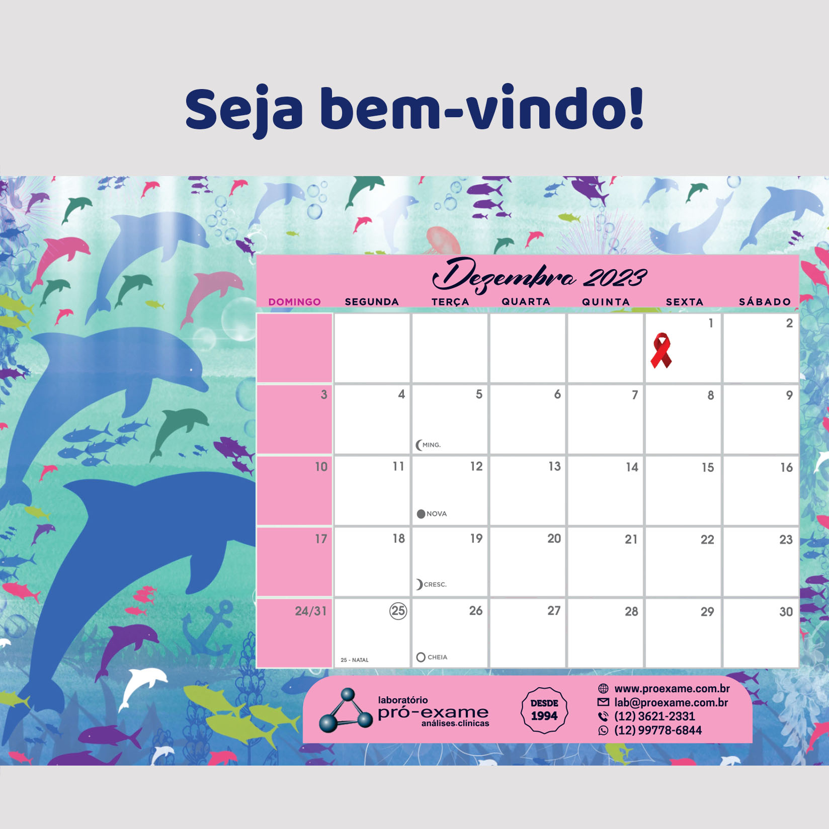 ?Bem-vindo, dezembro! 
