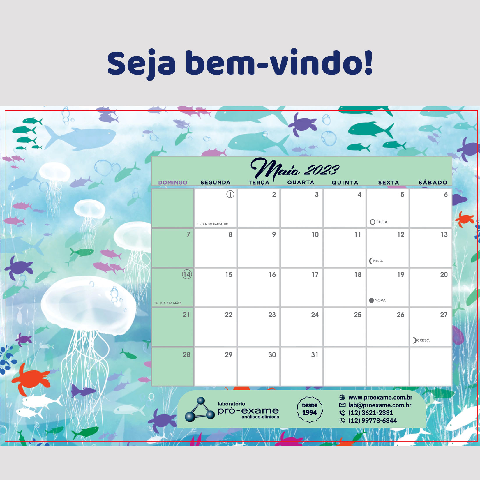 Bem-vindo, Maio!
