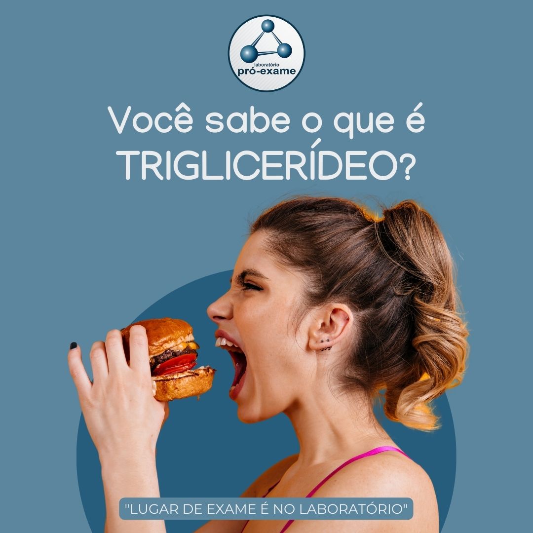 Triglicerídeos 