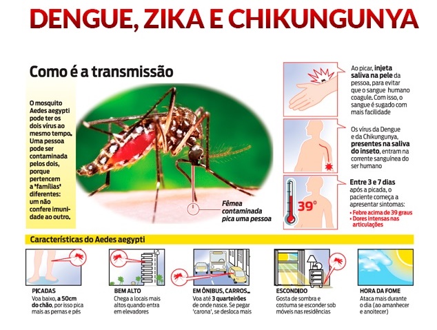 REALIZAMOS EXAMES PARA ZIKA VIRUS, CHIKUNGUNYA E DENGUE
