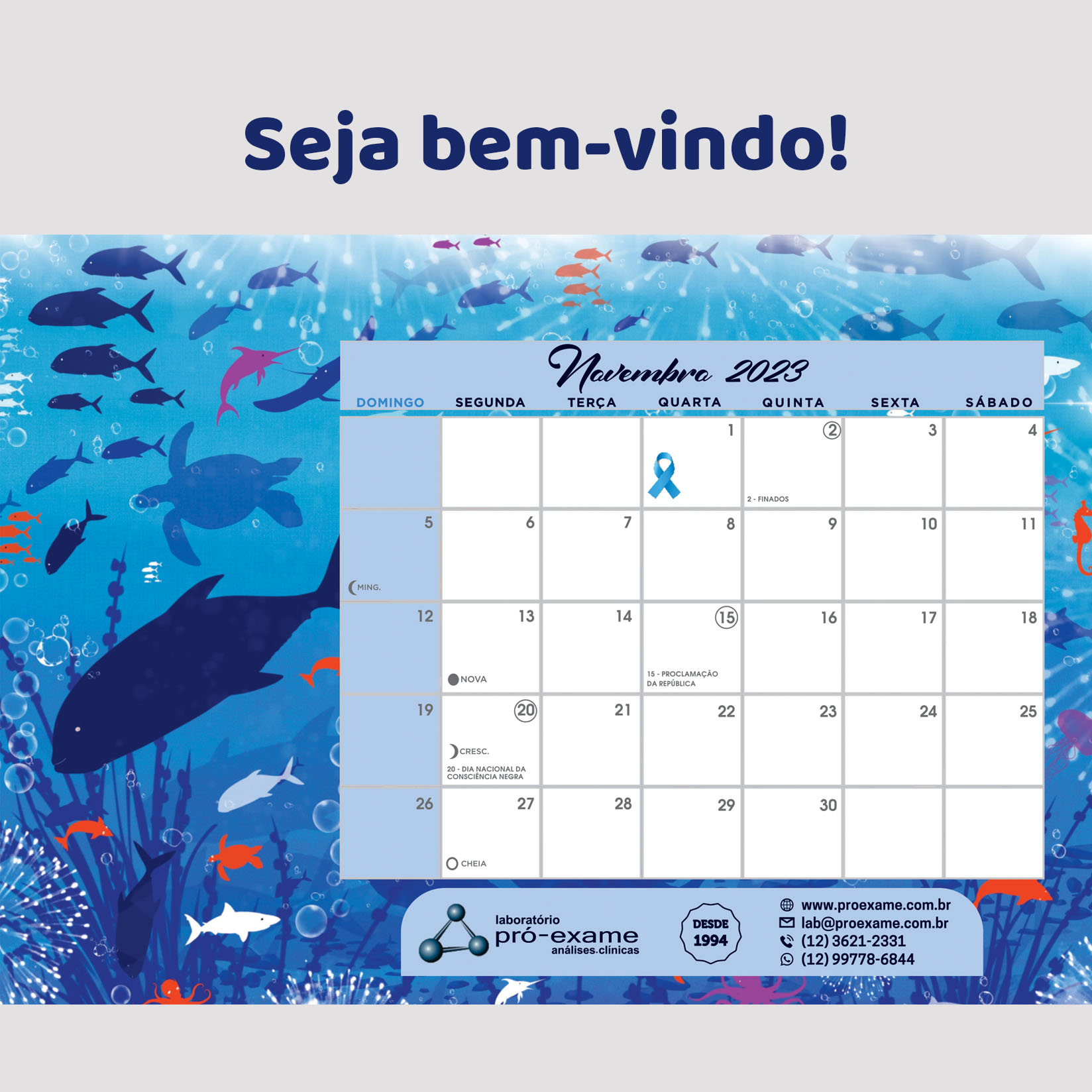Seja bem-vindo, mês de Novembro! 