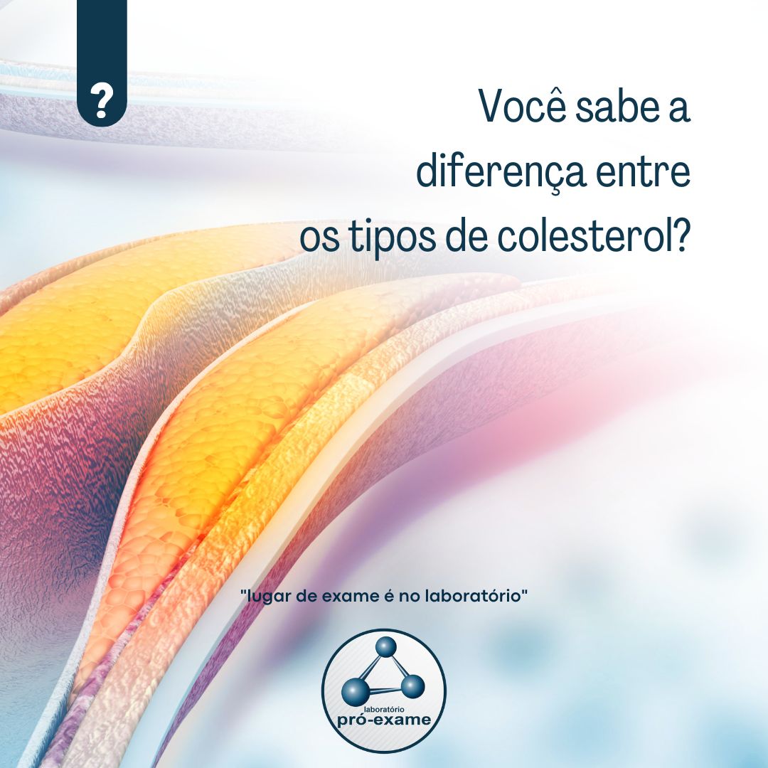 Desvendando os mistérios do colesterol!